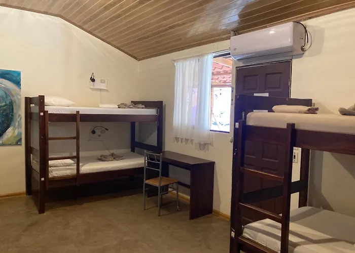 Tamahostel & Glamping Hostal *
