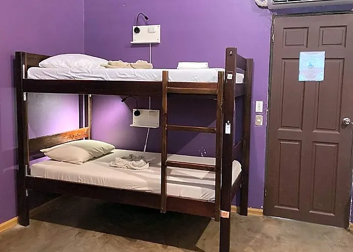 Tamahostel & Glamping Hostal