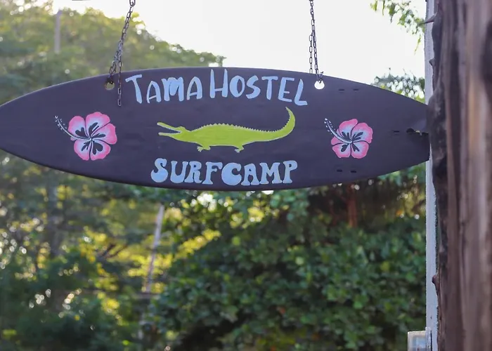 Tamahostel & Glamping Hostal